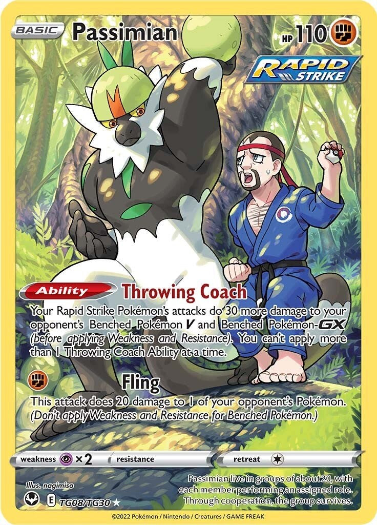Passimian Ultra Rare SWSH12: Silver Tempest Trainer Gallery TG08/TG30