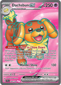 Dachsbun ex - 160/142