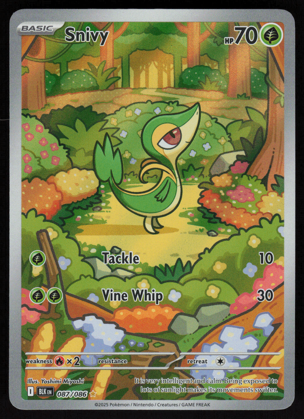 Snivy Illustration Rare SV: Black Bolt 087/086 NM