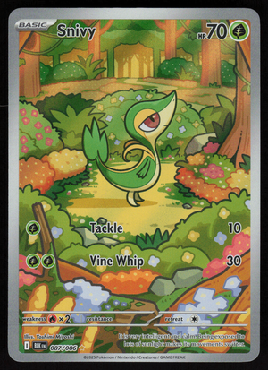 Snivy Illustration Rare SV: Black Bolt 087/086 NM