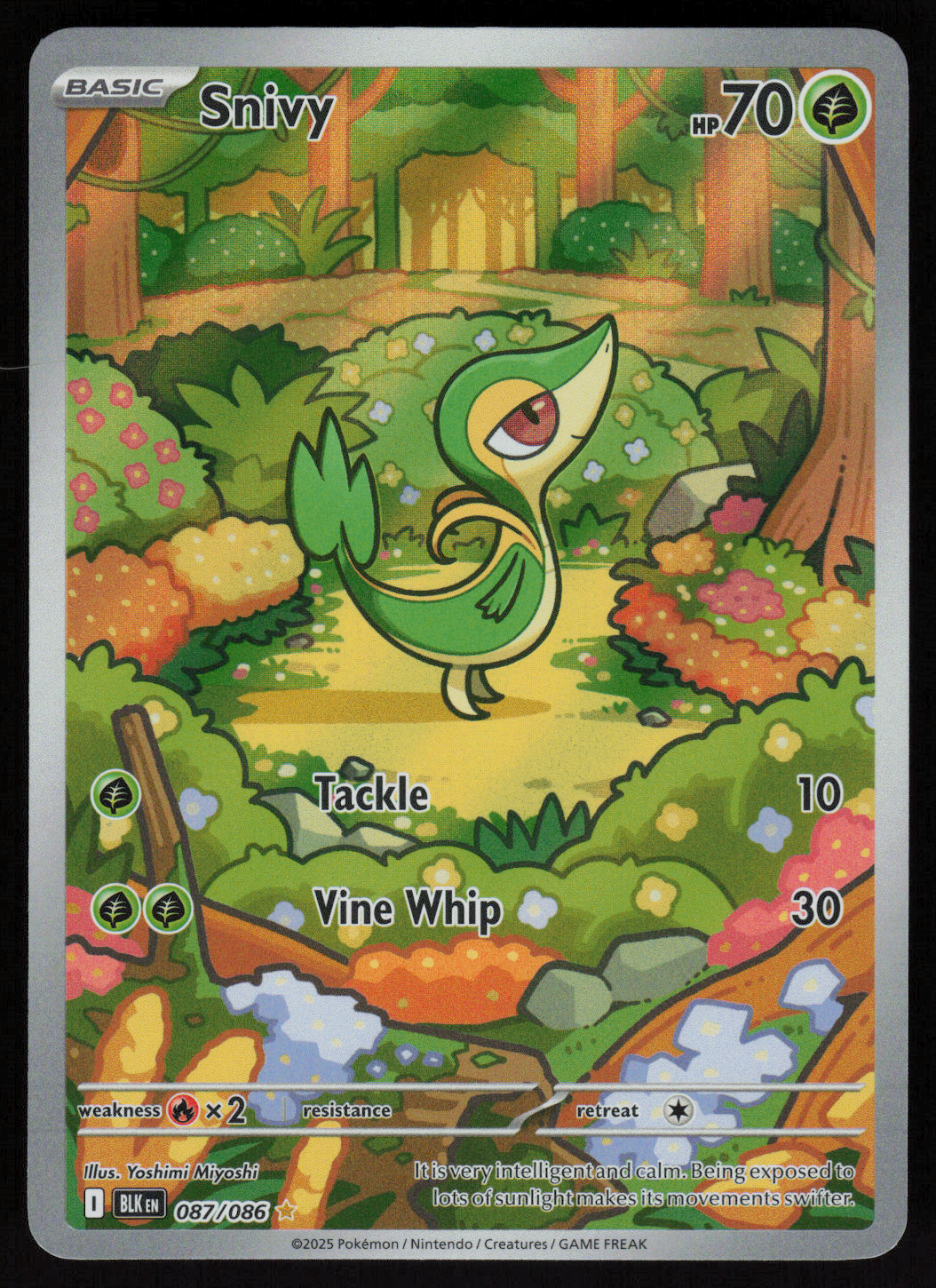 Snivy Illustration Rare SV: Black Bolt 087/086 NM