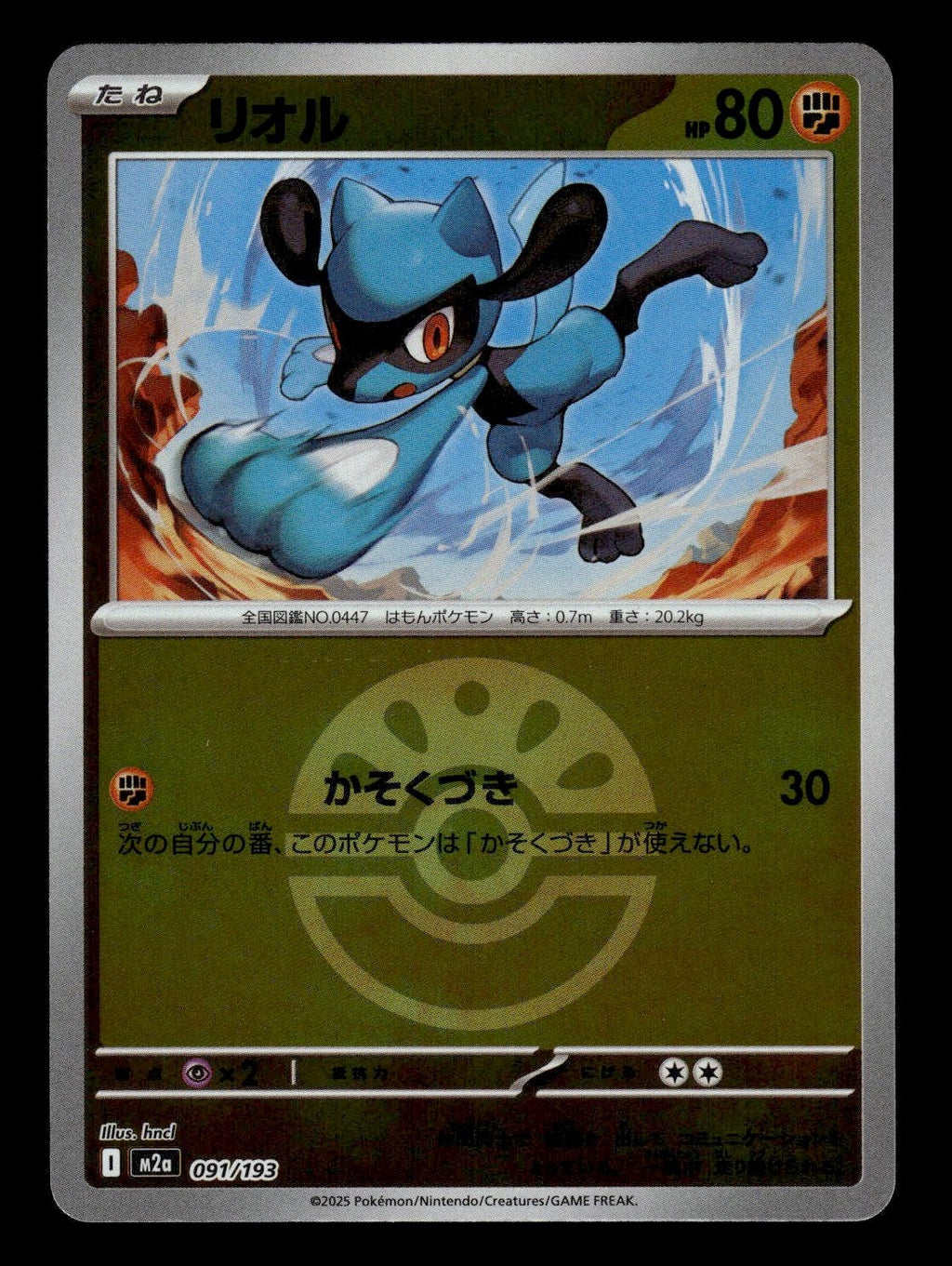 Riolu (Friend Ball Pattern)