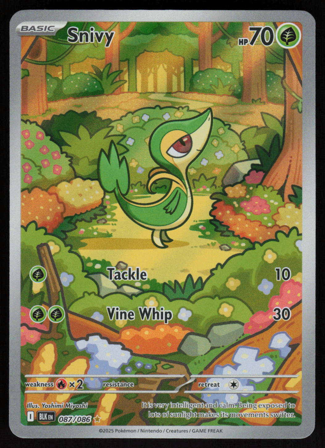 Snivy Illustration Rare SV: Black Bolt 087/086 NM