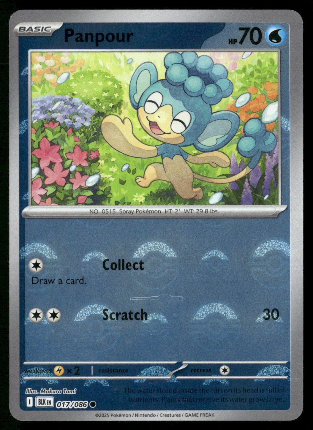 Panpour (Poke Ball Pattern)