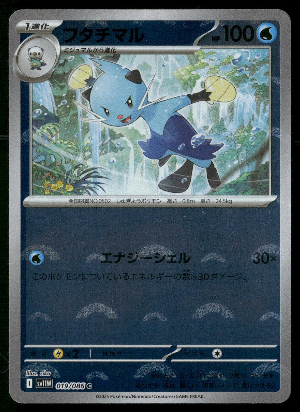 Dewott - 019/086 (Poke Ball Pattern)