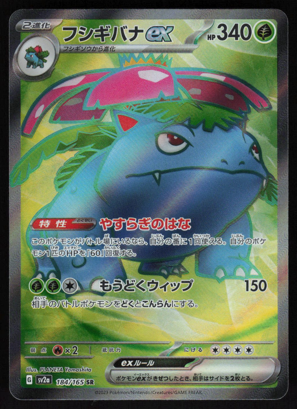 Venusaur ex - 184/165 | Near Mint / Japanese / Holofoil