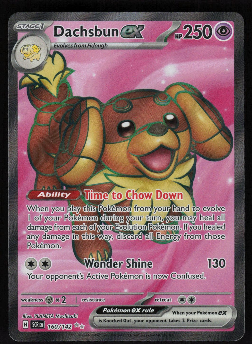Dachsbun ex - 160/142