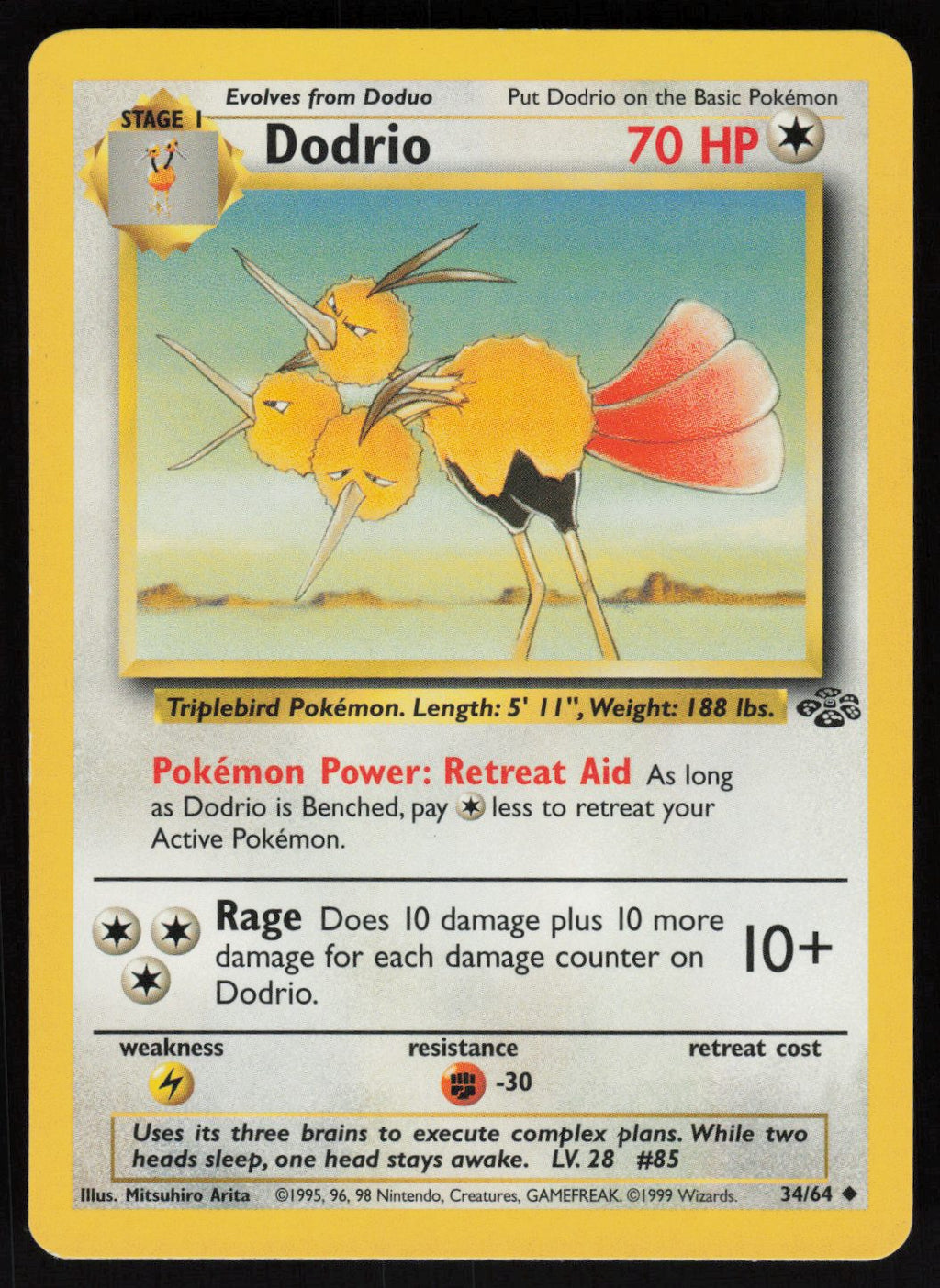 Dodrio