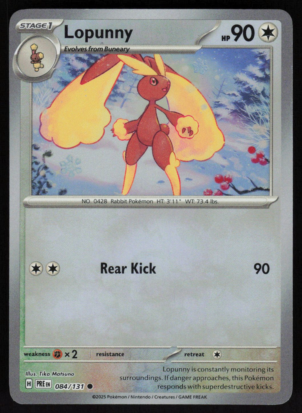 Lopunny (Master Ball Pattern)