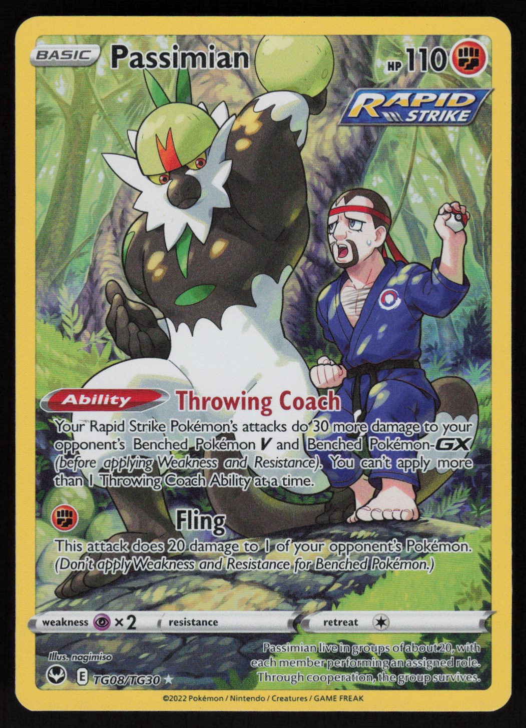 Passimian Ultra Rare SWSH12: Silver Tempest Trainer Gallery TG08/TG30